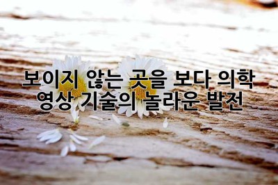 보이지 않는 곳을 보다: 의학 영상 기술의 놀라운 발전