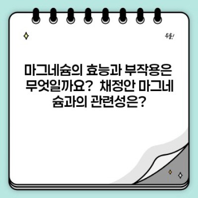 채정안 마그네슘: 효과, 부작용, 그리고 당신에게 맞는 선택은?