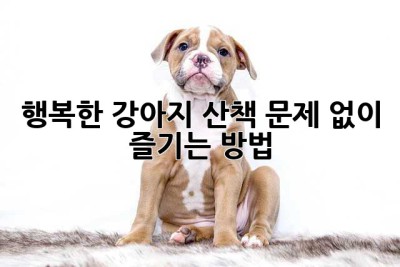 행복한 강아지 산책, 문제 없이 즐기는 방법!